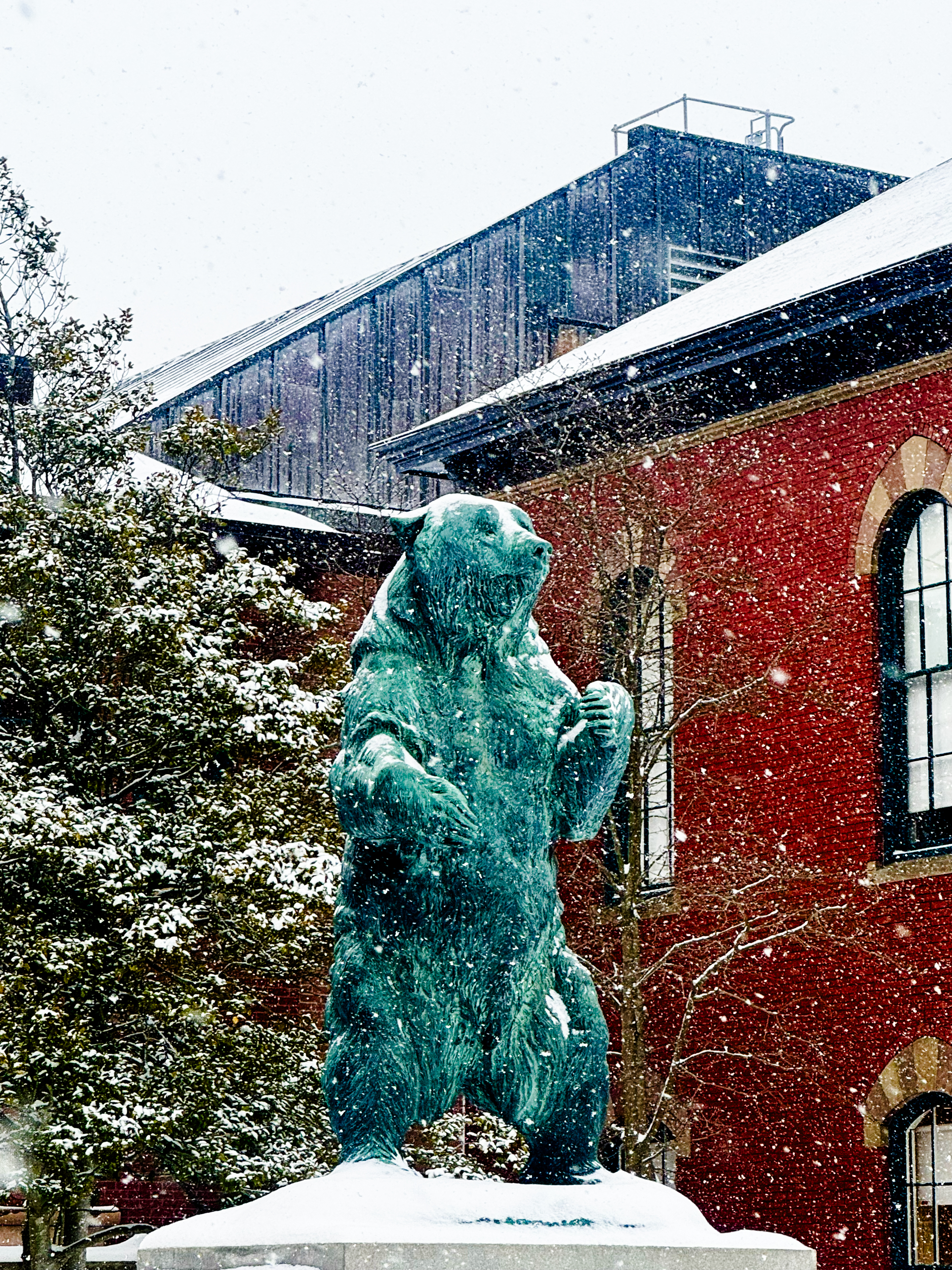 Bruno Snow