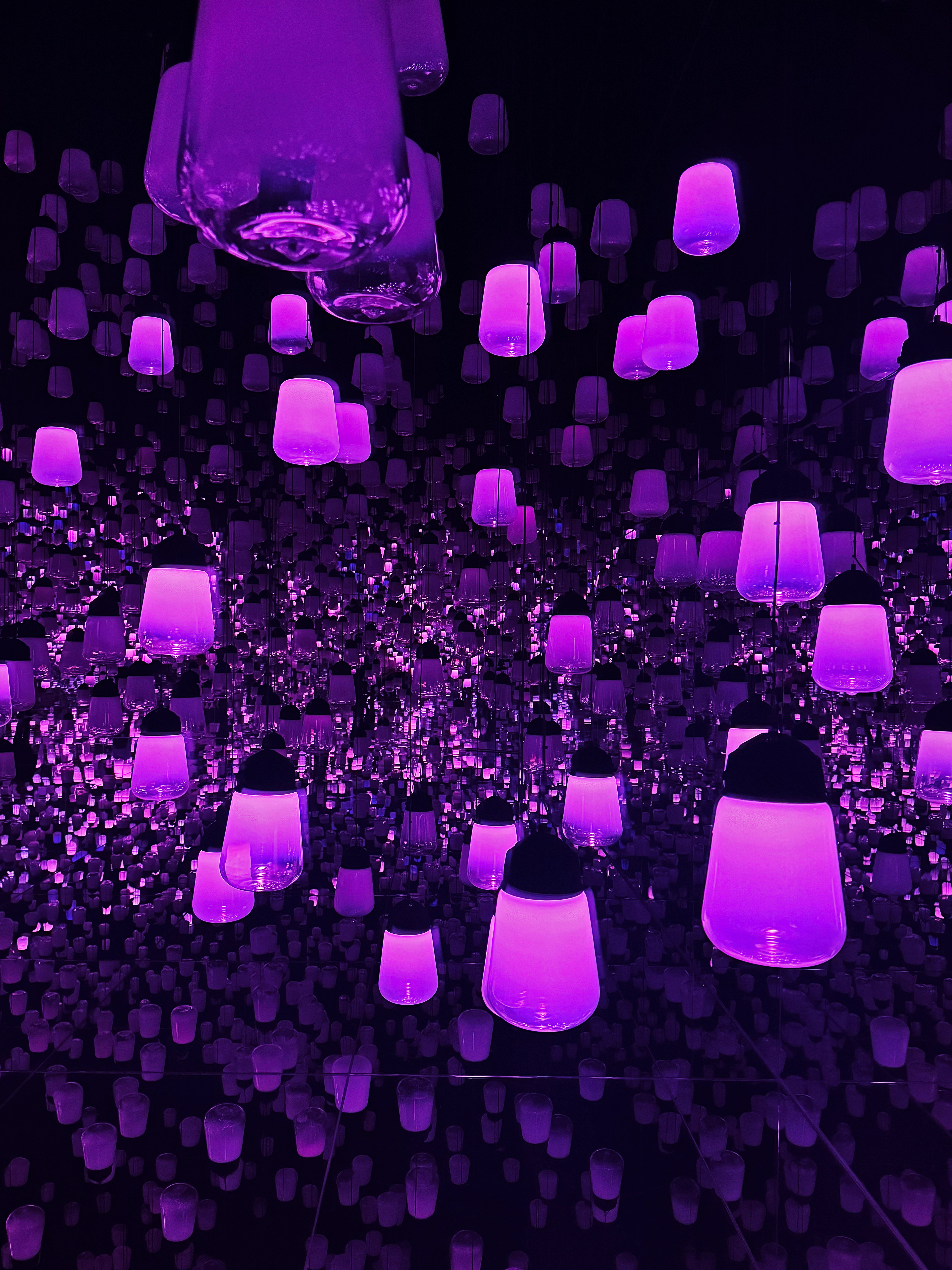 Teamlab Kyoto