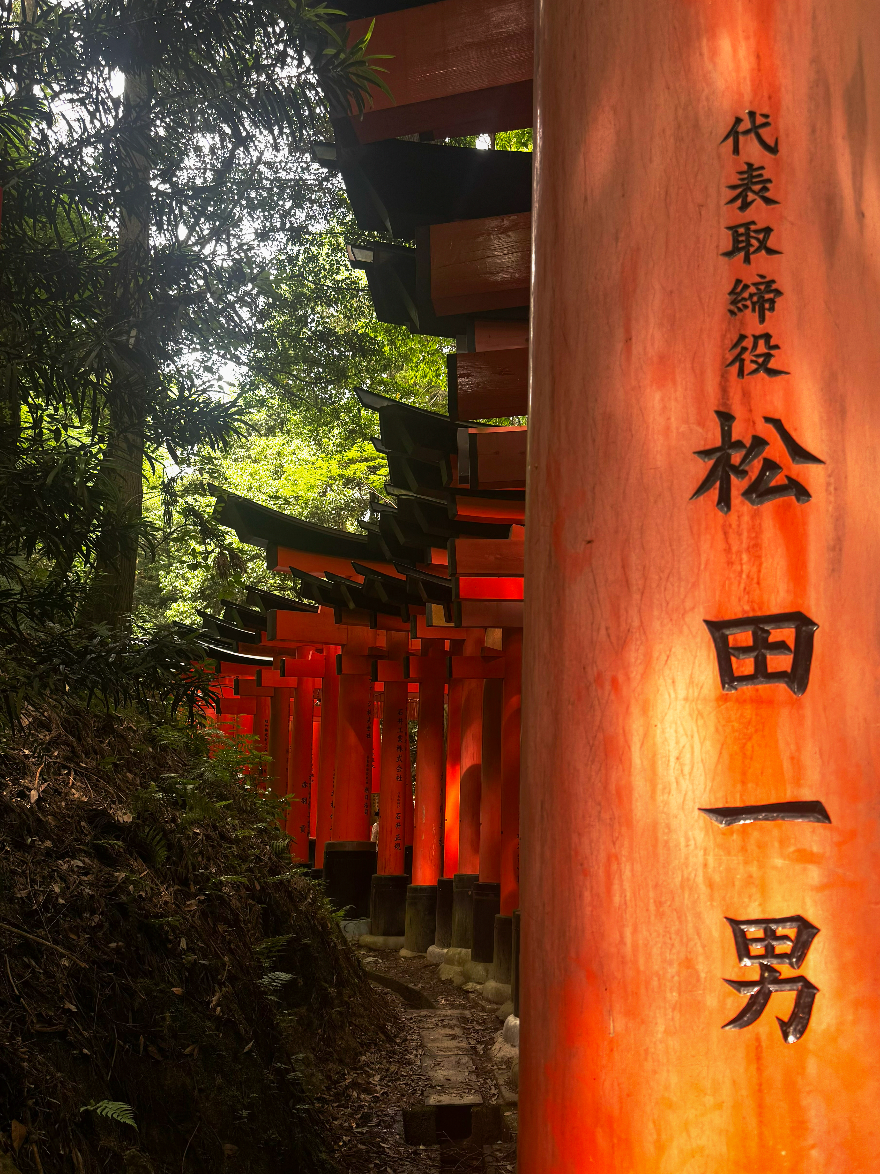 Kyoto Torii