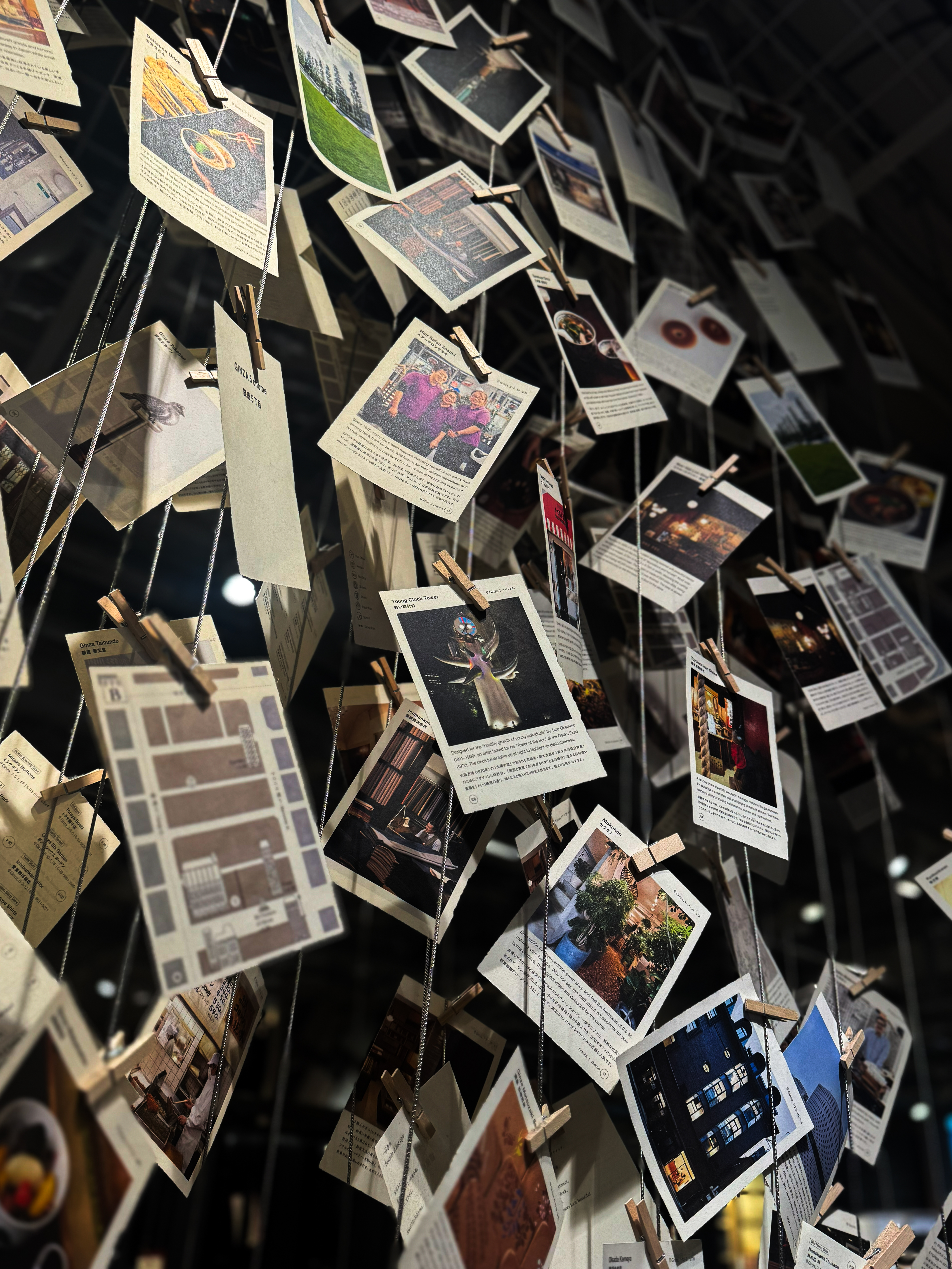 Muji Cards